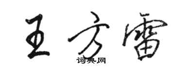 骆恒光王方雷行书个性签名怎么写