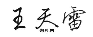 骆恒光王天雷行书个性签名怎么写