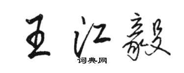 骆恒光王江毅行书个性签名怎么写