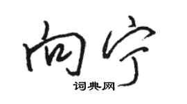 骆恒光向宁行书个性签名怎么写