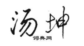 骆恒光汤坤行书个性签名怎么写