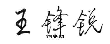 骆恒光王锋锐行书个性签名怎么写