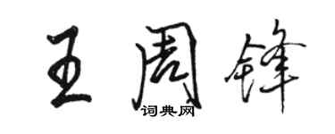 骆恒光王周锋行书个性签名怎么写