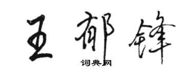 骆恒光王郁锋行书个性签名怎么写