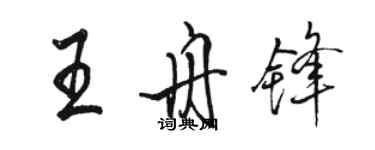 骆恒光王舟锋行书个性签名怎么写