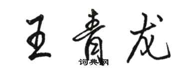 骆恒光王青龙行书个性签名怎么写