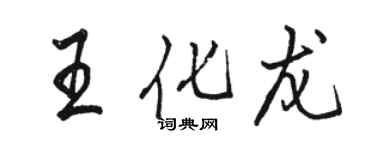 骆恒光王化龙行书个性签名怎么写