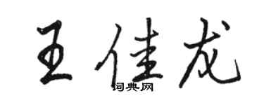 骆恒光王佳龙行书个性签名怎么写