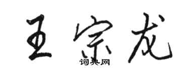 骆恒光王宗龙行书个性签名怎么写