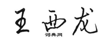 骆恒光王西龙行书个性签名怎么写