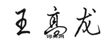 骆恒光王高龙行书个性签名怎么写