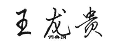 骆恒光王龙贵行书个性签名怎么写