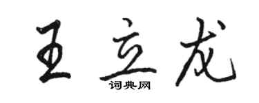 骆恒光王立龙行书个性签名怎么写