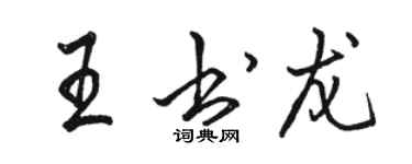 骆恒光王书龙行书个性签名怎么写