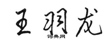 骆恒光王羽龙行书个性签名怎么写