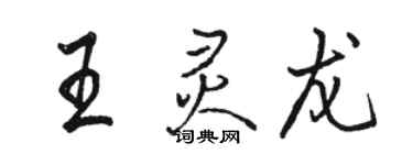 骆恒光王灵龙行书个性签名怎么写