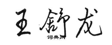 骆恒光王舒龙行书个性签名怎么写
