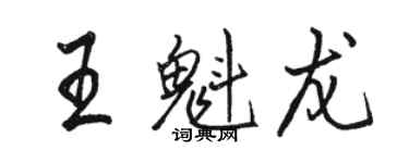 骆恒光王魁龙行书个性签名怎么写