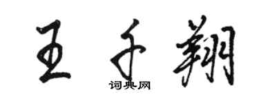 骆恒光王千翔行书个性签名怎么写