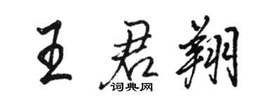骆恒光王君翔行书个性签名怎么写