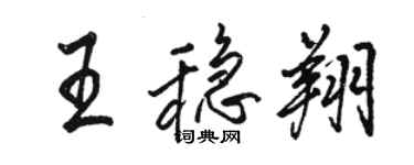 骆恒光王稳翔行书个性签名怎么写