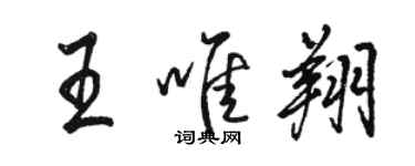 骆恒光王唯翔行书个性签名怎么写