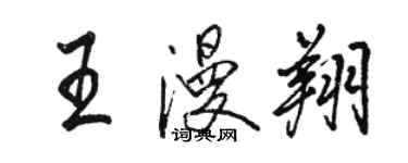 骆恒光王漫翔行书个性签名怎么写