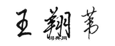 骆恒光王翔苇行书个性签名怎么写