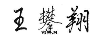 骆恒光王攀翔行书个性签名怎么写