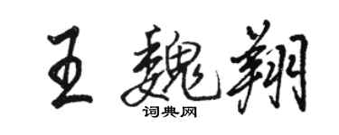 骆恒光王魏翔行书个性签名怎么写