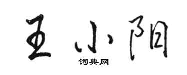 骆恒光王小阳行书个性签名怎么写