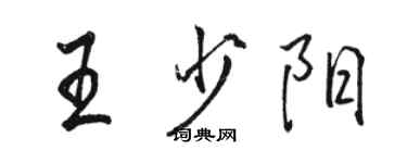 骆恒光王少阳行书个性签名怎么写
