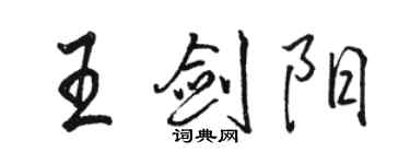 骆恒光王剑阳行书个性签名怎么写