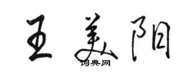 骆恒光王美阳行书个性签名怎么写