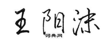 骆恒光王阳沫行书个性签名怎么写