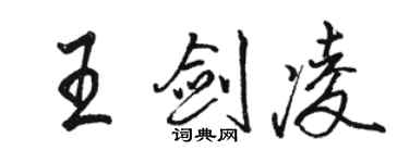 骆恒光王剑凌行书个性签名怎么写