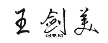 骆恒光王剑美行书个性签名怎么写