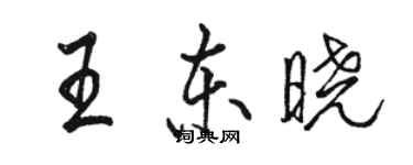 骆恒光王东晓行书个性签名怎么写