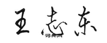 骆恒光王志东行书个性签名怎么写