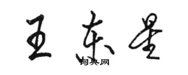 骆恒光王东星行书个性签名怎么写