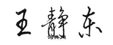 骆恒光王静东行书个性签名怎么写