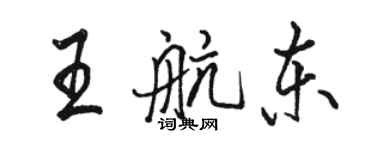 骆恒光王航东行书个性签名怎么写