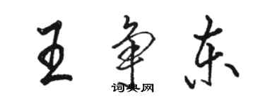 骆恒光王争东行书个性签名怎么写