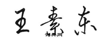 骆恒光王素东行书个性签名怎么写