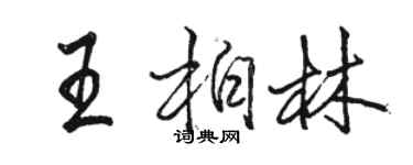 骆恒光王柏林行书个性签名怎么写