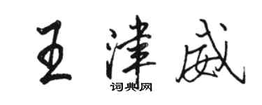 骆恒光王津威行书个性签名怎么写