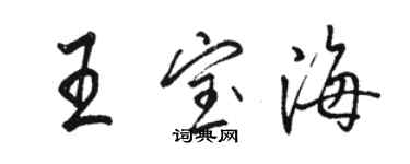 骆恒光王宝海行书个性签名怎么写