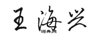 骆恒光王海兴行书个性签名怎么写