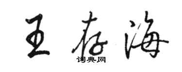 骆恒光王存海行书个性签名怎么写