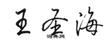 骆恒光王圣海行书个性签名怎么写